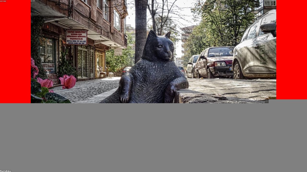 BOB体育官网｜塔图姆谈阿德巴约83分：那是历史性时刻，将永远被载入史册（封面配图）